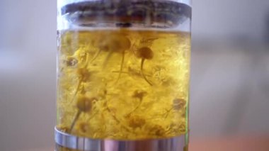 Yakın plan Papatya Çiçeği Çaydanlığındaki Bitki Çayı. Gri, bulanık arka plan. Fransız basınında çay demleme işlemi var. Papatya tomurcukları yüzer ve yükselir. Soyutlama, doku. Makro.