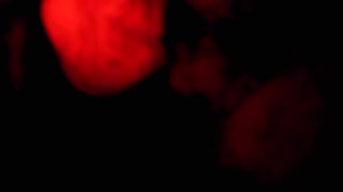 Kızıl Duman 'ın patlaması ya da Siyah Bulanık Arkaplanda Toz. Soyut, yan görüş. Kırmızı yumuşak duman veya buhar kaotik bir şekilde boş uzayda karışıyor. Parçacık patlaması, parlak ışık. Yavaş çekim.