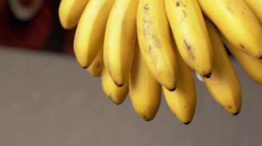 Olgun muzlar tarafsız gri bir zemine asılır. Bu yakın çekim meyvelerin doğal rengini ve ince kusurlarını vurguluyor. Sağlıklı yeme alışkanlıklarını ya da yiyecek atıklarını sembolize edebilir..