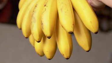 Bir avuç olgun sarı muzu el ele tutuştuk. Muzlar dikey olarak dizilir ve kabukta kahverengi noktalar görünür..