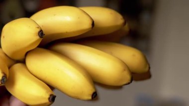 Bir el bir demet olgun, sarı muzu tutar. Yakın çekim, gıda ve sağlıkla ilgili projeler için ideal doku ve rengi vurguluyor.