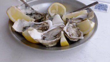 Metal bir tabakta limon dilimleri ile servis edilen taze istiridye yakın plan. Sofistike bir deniz ürünleri aperatifi. Yemek ve seyahat videoları için mükemmel..