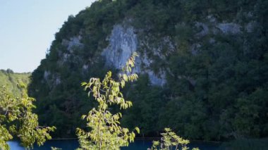 Turkuaz göl ve Plitvice Gölleri Ulusal Parkı 'ndaki kayalık, ağaçlarla kaplı uçurumun göz kamaştırıcı manzarası. Seyahat ve doğa projeleri için mükemmel doğal güzelliğin sakin bir sahnesi..