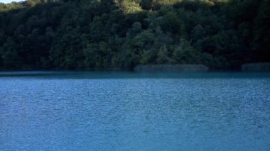 Nazikçe hareket eden bir tekneden canlı bir ormanın arka planına sahip nefes kesici turkuaz göle hayran kalabilirsiniz. Plitvice Göllerinden huzurlu bir manzara.
