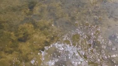 Bir su akıntısı sığ bir gölete akar ve sakin yüzeyi rahatsız eder. Kum ve bitkiler altında görülebilir. Su, doğa ya da çevre projeleri için mükemmel..