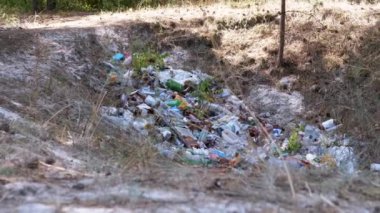 Ormanda plastik, cam şişeler ve diğer çöplerle dolu bir vadi. Çevre kirliliği, insan faaliyetlerinin yol açtığı ekolojik bir felaket.
