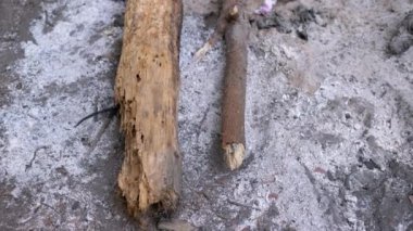 Yanmış odun ve küllerin yakın çekimi, yanmış kalıntıların dokusu, yangının kanıtı, yanmış kütüklerin kalıntıları, çevresel endişeler..