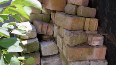 Bazıları yosunla kaplanmış, bir yığın yıpranmış tuğla, taze yeşil yapraklarla yan yana dizilmiş, doğa ve çürüme arasında bir zıtlık yaratıyor. İnşaat ve doğa ile ilgili projeler için mükemmel..