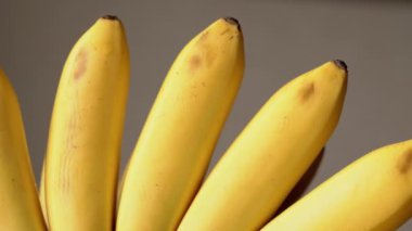 Taze sarı muzların yakın plan çekimi. Bu görüntüler taze meyvenin güzelliğini göstermek ya da sağlıklı ve canlı bir atmosfer yaratmak için mükemmel..