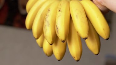 Bir avuç olgun muzun el ele tutuşup yakın plan çekimi. Kamera muzlara odaklanıyor, sonra yavaş yavaş geri çekilip arka planı ortaya çıkarıyor - rahat bir iç mekan..