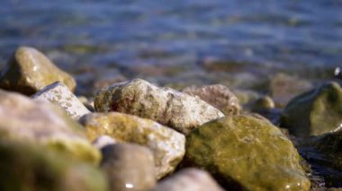 Sakin bir kayalık sahilin sakin mavi denizle buluşması. Taşlar, çakıl taşları ve temiz su barışçıl bir atmosfer yaratır. Seyahat, doğa ve meditasyon projeleri için ideal.