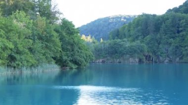Plitvice Lakes Ulusal Parkı 'nda sakin bir göl kıyısına yaklaşan bir tekne yemyeşil, sazlar ve doğal çevrenin sakin güzelliğini gözler önüne seriyor..
