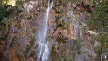 Su zarif bir şekilde yosunlu bir uçurumdan aşağı akar ve canlı yeşil bir ormanın ortasında çarpıcı bir şelale oluşturur. Doğanın güzelliği ve gücü uyum içinde..