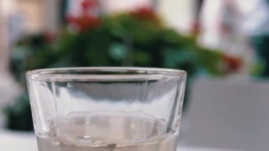 Arka planda bitkiler olan bir bardak suya yakın çekim. Ferahlatıcı ve saf, sağlıklı yaşam tarzı ya da susuzluk giderici temalar için mükemmel..