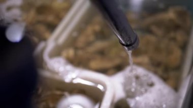 Kaptaki taze istiridyelerin üzerinden akan musluk suyu, deniz ürünleri hazırlarken eksiksiz temizlik ve gıda güvenliği uygulamalarının önemini vurguluyor..