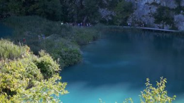Plitvice Lakes Ulusal Parkı 'ndaki turkuaz göl kıyısında bir patika. Yeşillik ve berrak sular, doğa ve seyahat içeriği için mükemmel bir manzara ortamı yaratır..