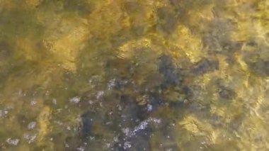 Kristal berrak suyun büyüleyici üst görüntüsü hafif dalgalanmalar ve ara sıra su damlaları hassas sıçramalar yaratıyor. Arka plan, rahatlama ve doğa temaları için mükemmel..