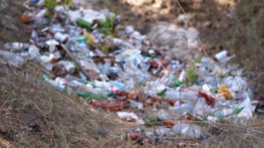 Plastik, cam şişeler ve diğer çöpler ormanda yatıyor. Çevre kirliliği, ekolojik bir sorun. İnsanların sorumsuz davranışları.