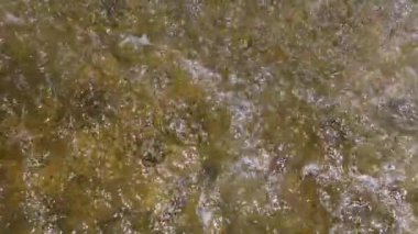 Köpüklü su, güneş ışığındaki kayalara sıçrar ve büyüleyici bir hareket ve ışık karışımı yaratır. Canlı görüntüler tazelik ve enerji hissi uyandırıyor. Doğa, yaz gibi projeler için mükemmel.