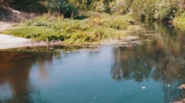 Güneşli bir yaz gününde yeşil çimenler ve ağaçlarla kaplı bulanık nehir manzarası. Çevresel sorunları ve temiz su kaynaklarına yönelik tehditleri gösteren barışçıl ve yatıştırıcı bir bakış açısı.