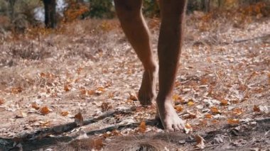Güneşli bir sonbahar ormanında kuru yapraklar ve dallar üzerinde çıplak ayakla yürüyen erkek ayaklarının yakın çekimi. Doğayı kucaklayan sükunet.