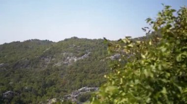 Sallanan ağaç dallarının arasından geçen görkemli dağların bir bakışı gizem ve merak hissi yaratır. Güneş ışığı yaprakların arasından süzülüyor, huzurlu bir doğa manzarası sunuyor görkemli, mükemmel