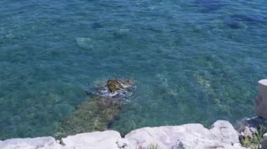 Budvas Kalesi 'nin altındaki kayalık sahilden Adriyatik Denizi' nin sakin manzarası. Temiz turkuaz su huzurlu ve rahatlatıcı bir sahne yaratır..