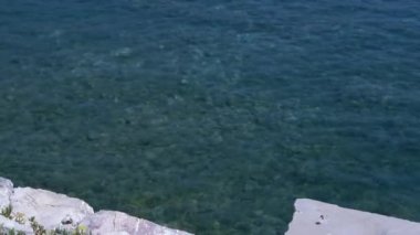 Adriyatik Denizi 'nin kristal berraklığında turkuaz suları yavaşça kayalık kıyılara çarpar. Şeffaf su aşağıdaki deniz tabanını ortaya çıkararak sakin ve sakin bir atmosfer yaratıyor..