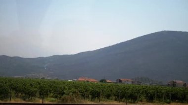 Hareket halindeki bir trenden görülen manzara, doğa ve kırsal yaşam için huzurlu bir manzara sunuyor. Yolculuk rayların ritmiyle başlar..