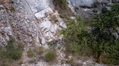 Kaya düşüşü koruma ağıyla güçlendirilmiş bir dağ yamacının yavaş çekim görüntüsü ve arada büyüyen bitkiler. Dağlık bölgelerde güvenlik önlemlerini gözler önüne serer.
