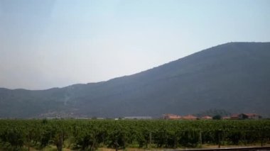 Manzaralı üzüm bağları görkemli bir dağın önünde uzanır ve kırsal hayatın huzurlu manzarasını sunar. Ön plandaki demiryolu rayları doğal güzelliği temsil eden insan varlığına bir dokunuş ekler.