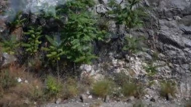 Metal ağlarla korunan bir dağ manzarası, bazı küçük ağaçlar, çalılar ve çimenli araziler. Erozyon önleme ve çevresel koruma temalarını resmeder.