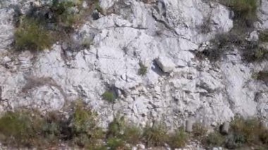 Metal ağla güçlendirilmiş kayalık bir dağ yamacına yakın çekim. Ender bitki örtüsü ve çalılar sarp araziye tutunur. Bu görüntüler erozyon kontrolü ve çevreyle ilgili belgeseller için harikadır.