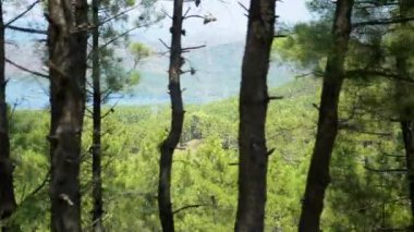 Karadağ 'ın çarpıcı kıyıları, çam ağaçlarından oluşan bir perdenin ardında kendini gösteriyor. Mavi su ve yuvarlanan yeşil tepeler, sakin ama büyüleyici bir manzara yaratıyor. Hareket derinlik katıyor.