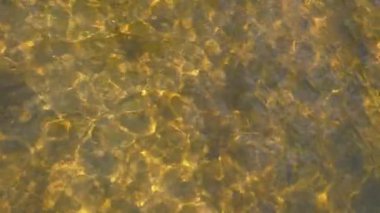 Altında kayalar ve algler olan bulanık bir nehir su yüzeyinin üst görüntüsü. Güneş ışığını yansıtan sakin su yüzeyi. Çevre sorunları, kirli su veya nehir ekosistem kavramı.