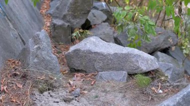 Büyük granit kayalar yeşil çalılar ve ağaçlarla çevrili bir göletin kıyısında yer alır. Kuru yapraklar yere saçılmış. Doğa, jeoloji veya manzaralarla ilgili projeler için mükemmel..