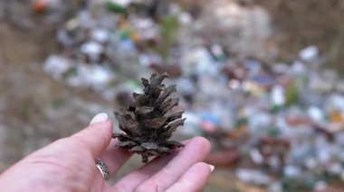 Bir el, ormandaki bir çöplüğün bulanık arka planına karşı bir kozalak tutuyor. Doğa ve kirlilik arasındaki zıtlığı simgeliyor..
