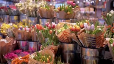 Laleler de dahil olmak üzere çeşitli renkli çiçekler bir çiçek pazarında metal kovalarda sergilenir. Bahar, çiçek ve pazar manzaraları için mükemmel..