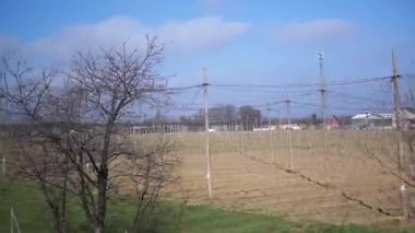 Çıplak ağaçlar ve destek direkleriyle bir zıplama çiftliği açık bulutlu mavi bir gökyüzünün altında uzanıyor. Tarım ve kırsal yaşam projeleri için ideal.
