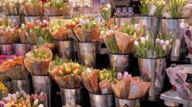 Canlı bir lale ve diğer çiçeklerin bir markette metal kovalarla sergilenmesi. Birilerini aydınlatmaya hazır. Pazar, çiçek ve bahar projeleri için mükemmel..