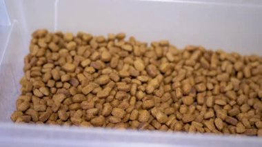 Temiz bir plastik depolama kabında, kuru kahverengi kedi maması taneciklerinin yakın plan çekimi, görünüm dokusu ve miktarı.