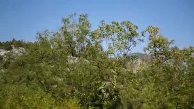 Kayalık arazisi olan yemyeşil bir Hırvat ormanında seyahat etmek. Bu görüntüler macera ve keşif duygusunu çağrıştırıyor..