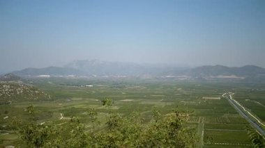 Hırvatistan 'ın Neretva Vadisi' ndeki üzüm bağları. Arkasında dağlar olan yemyeşil bir manzara. Tarım, seyahat veya Hırvat kırsalının güzelliği konulu projeler için ideal.