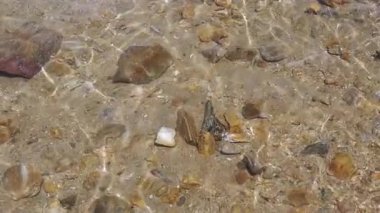 Sahildeki açık deniz suyunda kayaların ve kumların olduğu bir deniz yatağının sualtı sahnesi. Güneş parıltısı suyun yüzeyine yansıyor, dalgalar sallanıyor. Kumlu deniz tabanında ışık deseni. Özet, doku.