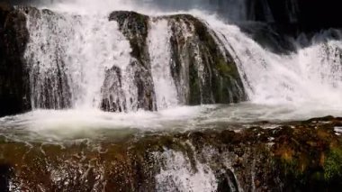 Su sıçratan ve yemyeşil yemyeşil bir şelalenin çarpıcı manzarası doğa meraklıları için mükemmel. Akan su damlaları. Yakın plan..