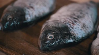 A closeup view of fresh, vibrant fish showcasing intricate details placed on a rustic wooden cutting board