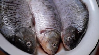A closeup view showcasing three fresh fish beautifully arranged in a bowl, ideal for cooking or seafood dishes