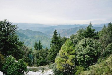 Yeşil ağaçlı güzel dağ manzarası