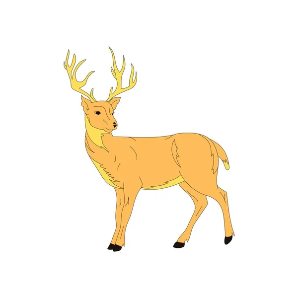 Wild cartoon deer animal flat cartoon , wild animal symbol. North life animals silhouette. Cartoon zoo farm environment mammal isolated on white.