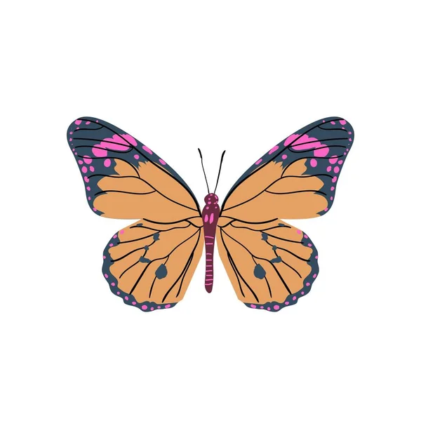 Hermoso Fondo Mariposa Elegante Con Montón Diferentes Butterflys Design Para — Foto de Stock